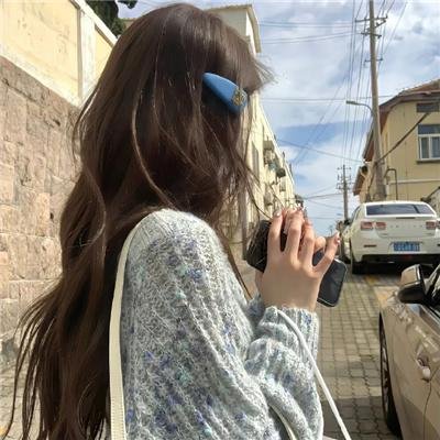 海龟故事